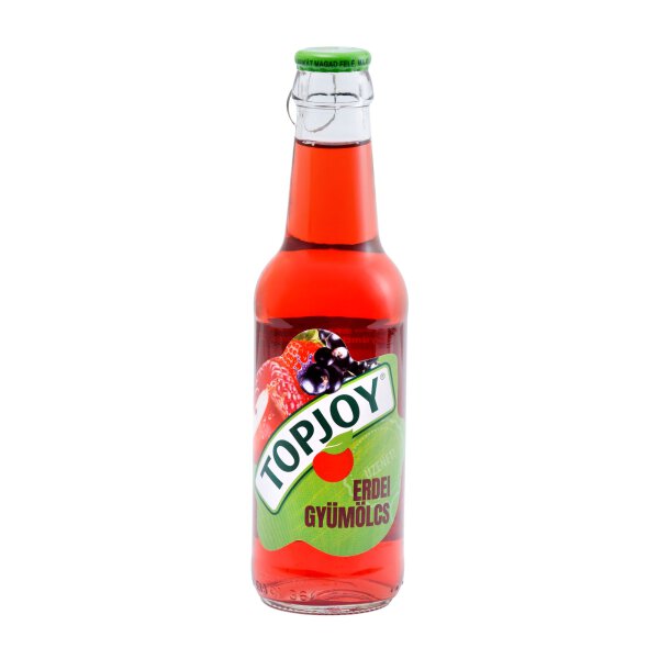 Topjoy Fruchtsaftgetränk Waldfrucht / Erdei 250 ml