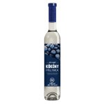 Tokaj Spirit Schlehdorn / Kökeny Palinka 40 % 0,5 l