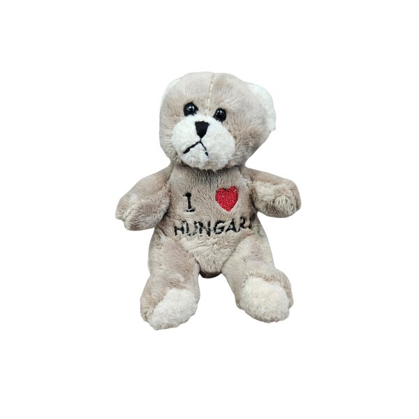 Kühlschrankmagnet Teddybear